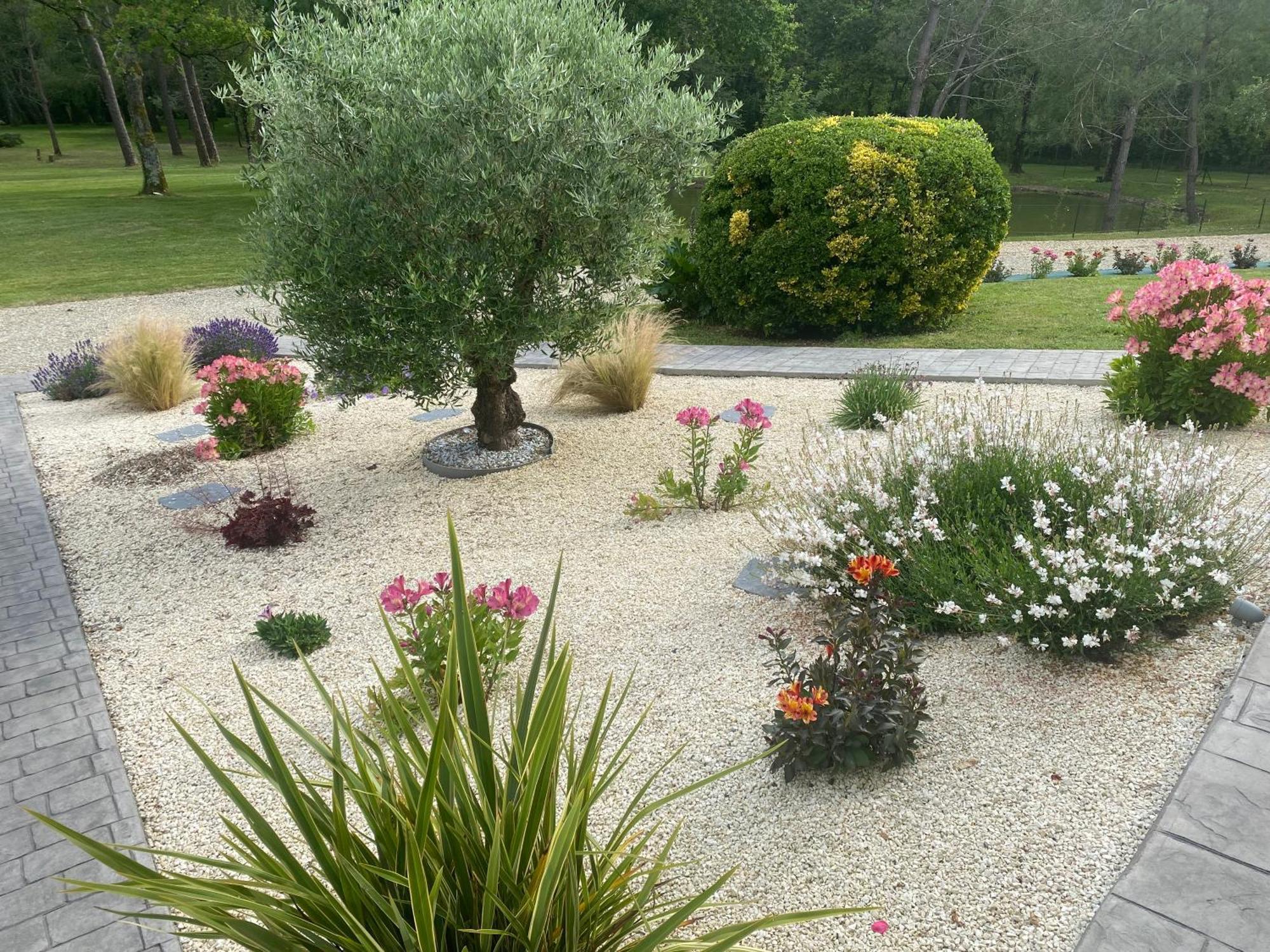 Saint-Ciers-d'Abzac Les Pins Perdus B&B 외부 사진