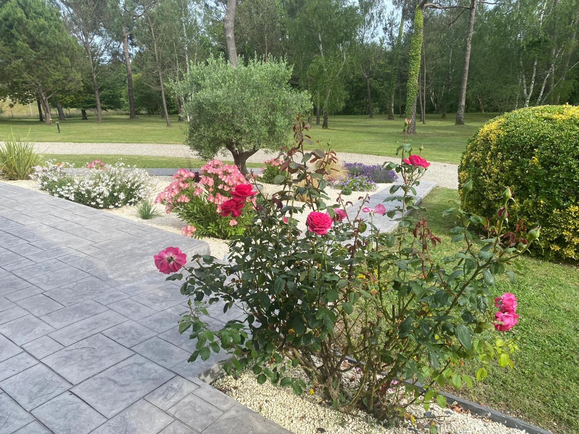 Saint-Ciers-d'Abzac Les Pins Perdus B&B 외부 사진